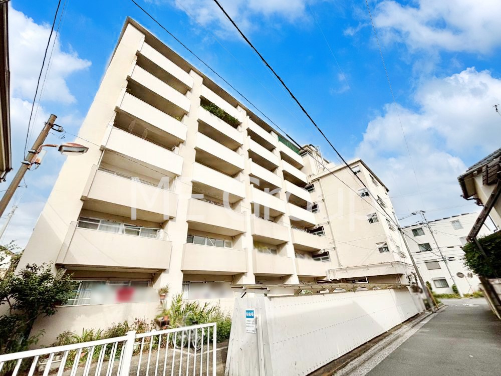 ���n�O�ώʐ^ ����z���ł��Ƒ��̏Ί���P��