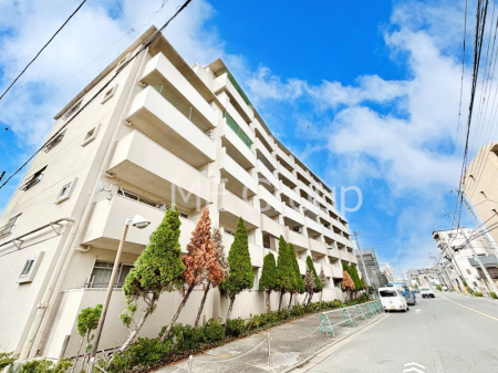 ���n�O�ώʐ^ ��Ƃ肪�Ί�𐶂ސS�n�悢����