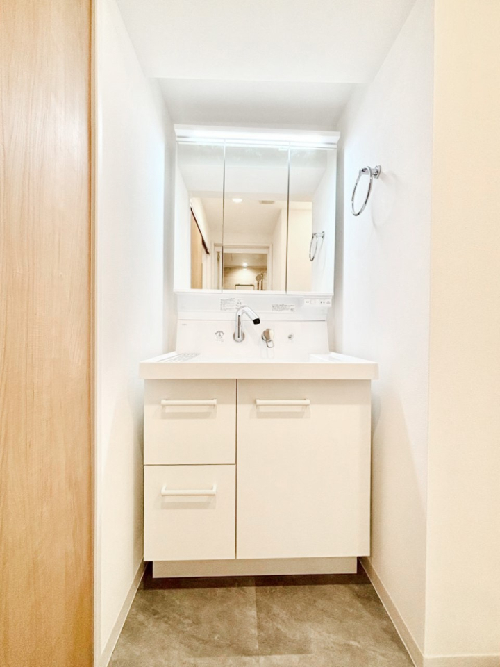 ���ʑ�E���ʏ� �X�^�C�����O�ɕ֗��ȎO�ʋ��A�~���[�L���r�l�b�g�ōׂ������X�b�L��