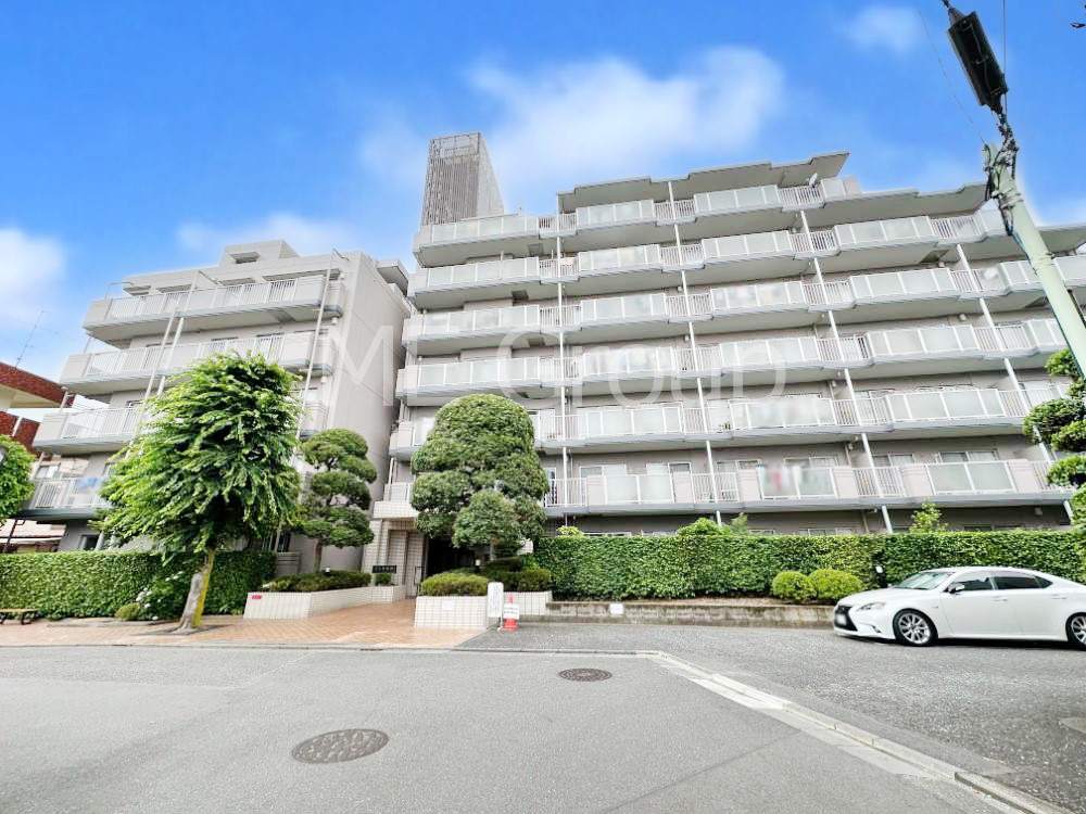 ���n�O�ώʐ^ ����������u�ߐ��v�w�k��4���֗̕��ȗ��n�B��������n�܂�V�����������������܂��I