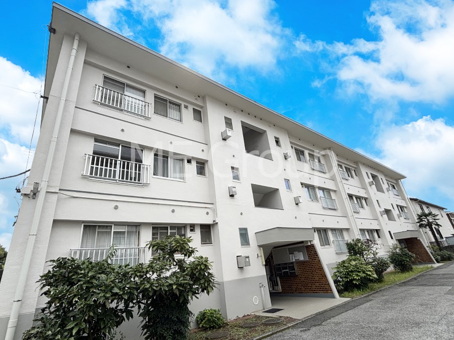 ���n�O�ώʐ^ ����z���ł��Ƒ��̏Ί���P��