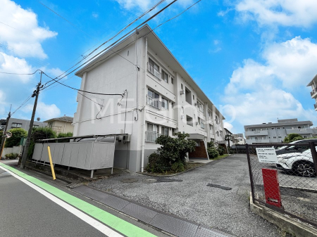 ���n�O�ώʐ^ ��Ƃ肪�Ί�𐶂ސS�n�悢����