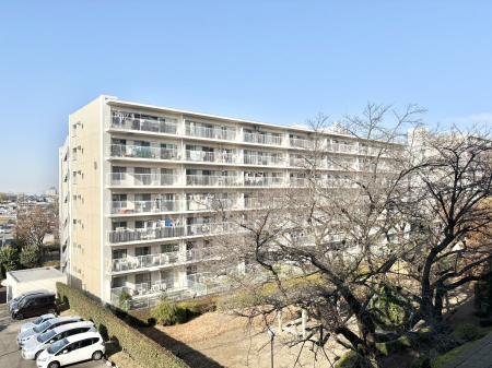 ���n�O�ώʐ^ ����z���ł��Ƒ��̏Ί���P�� 