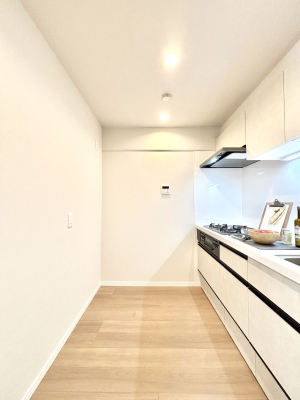 �L�b�`�� ��Ƃ肠��L�b�`���X�y�[�X�ł�������H��̌�Еt�����X���[�Y�ɁI