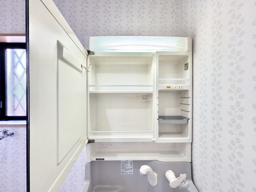 ���̑����� �������[�ŎU�炩�肪���Ȑ��ʑ���X�b�L���Еt���L���C���L�[�v