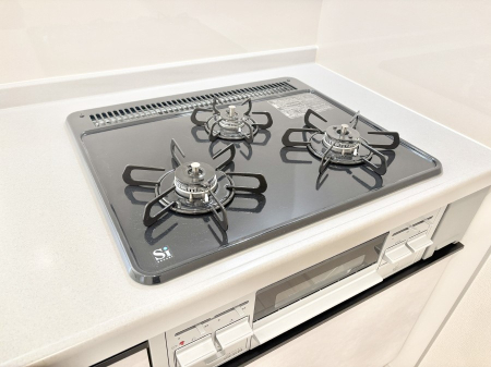 ���̑����� �O���K�X�R�����ł���������C�ɂ͂��ǂ肻���B  