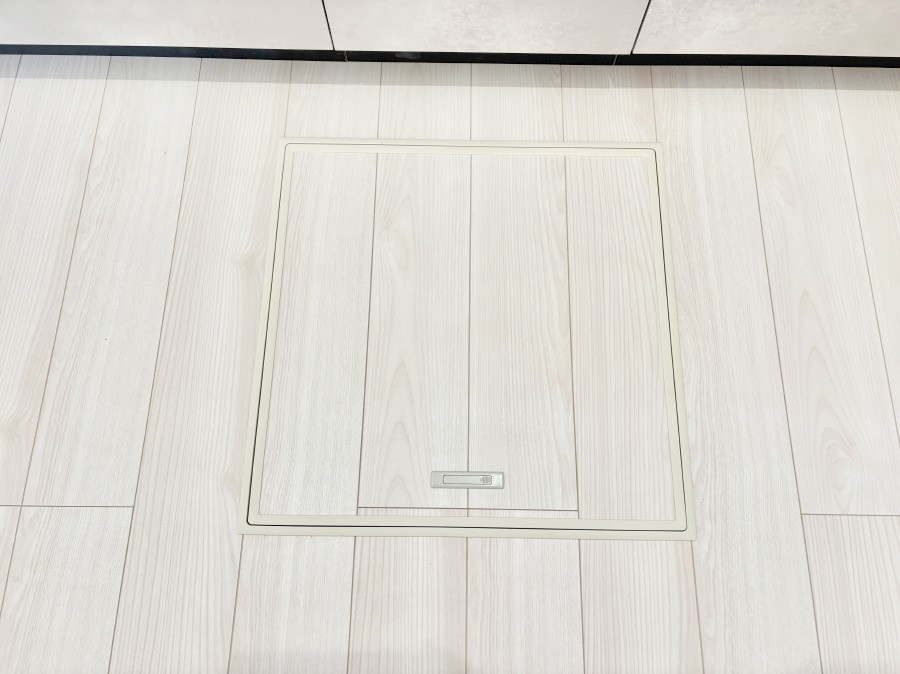 ���̑����� �������[�t���I���p�i�E���p�i�̎��[�ɂ��劈��B