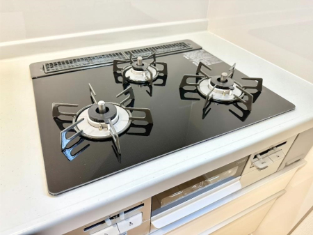 ���̑����� �K�X�R�����͂r���Z���T�[���ځB�Η͒��߂�ł��t���E�����Y����h���ł���܂��B