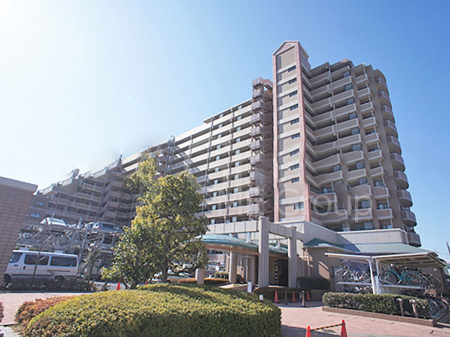 nOώʐ^ złƑ̏ΊP @