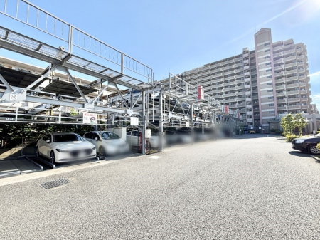 ԏ O ~nɒԏ{݁i󂫏󋵂͓sxmFj@