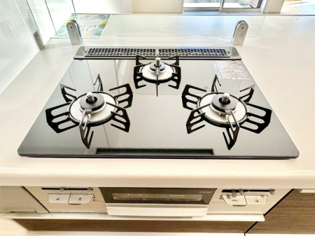 ���̑����� �K�X�R�����͂r���Z���T�[���ځB�Η͒��߂�ł��t���E�����Y����h���ł���܂��B