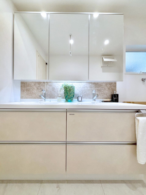 ʑEʏ 傫₷OʋŐʑ́AgȂ݃`FbN┧̂ɂ߂łB 