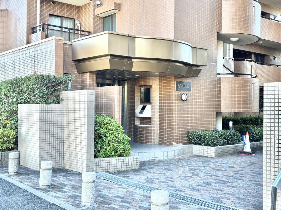 GgX Z҂◈K҂C悭o}I͋C̃GgXB