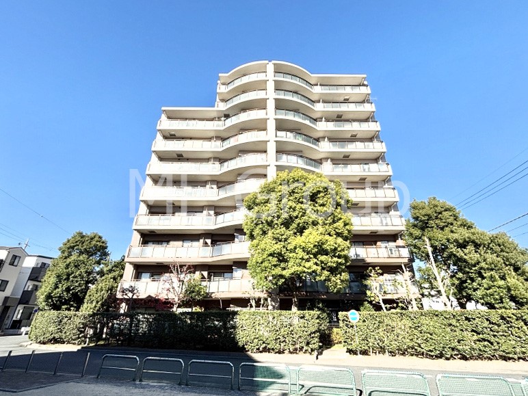 nOώʐ^ Ƃ肪Ί𐶂ސSn悢   