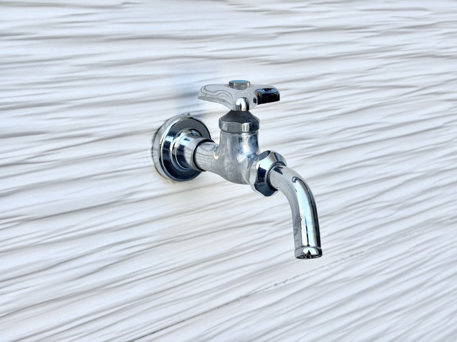 ���̑����� �o���R�j�[����������΂��|�����y�X�ł��B    