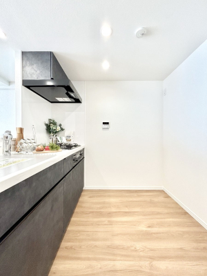 �L�b�`�� ��Ƃ肠��L�b�`���X�y�[�X�ł�������H��̌�Еt�����X���[�Y�ɁI