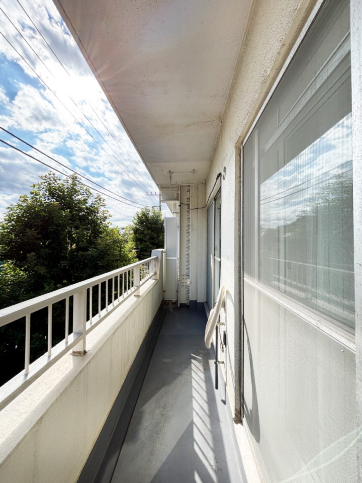 �o���R�j�[ ���ʂ��̗ǂ��o���R�j�[