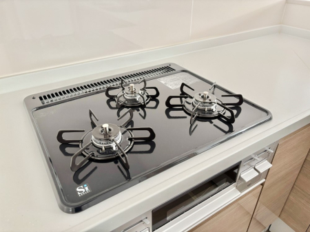 ���̑����� �O���K�X�R�����ł���������C�ɂ͂��ǂ肻���B  