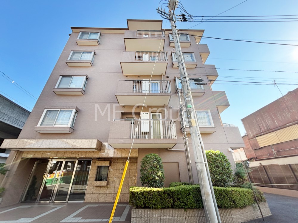 nOώʐ^ Ƃ肪Ί𐶂ސSn悢