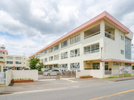 ӊ wZ 800m xmsߐwZ