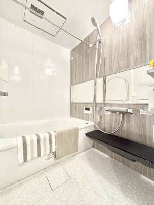 ���� �����������F�����̕ǖʁA������������芰����o�X���[���B