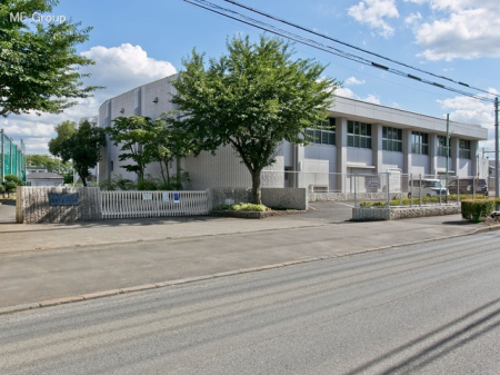 ӊ wZ 1000m RsR掵wZ