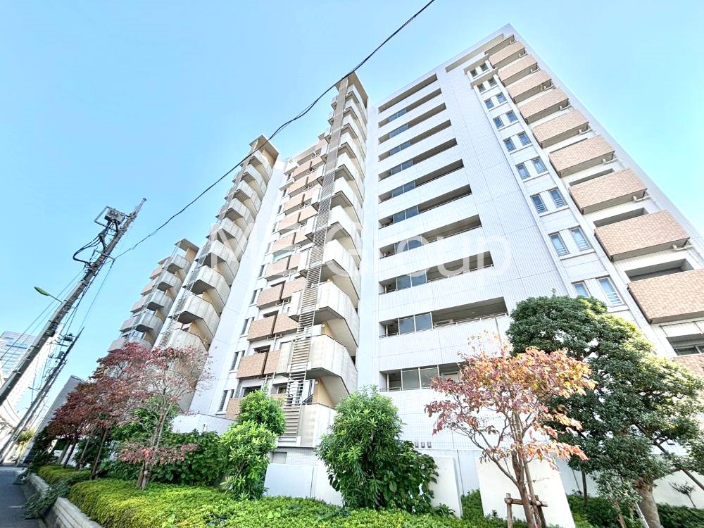 nOώʐ^ Ƃ肪Ί𐶂ސSn悢   