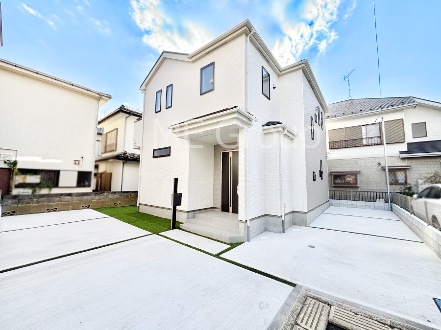 nOώʐ^ Ƃ肪Ί𐶂ސSn悢