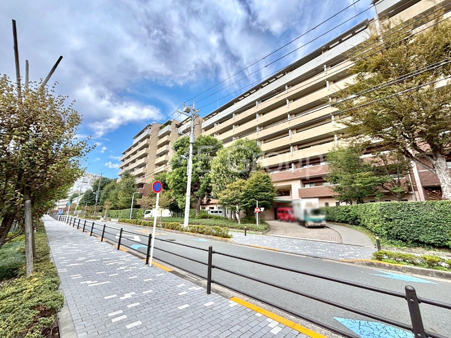 nOώʐ^ Ƃ肪Ί𐶂ސSn悢 