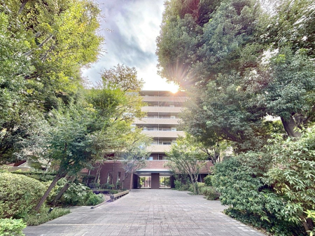 GgX O YȃGgX́AZ҂D}Ă܂  