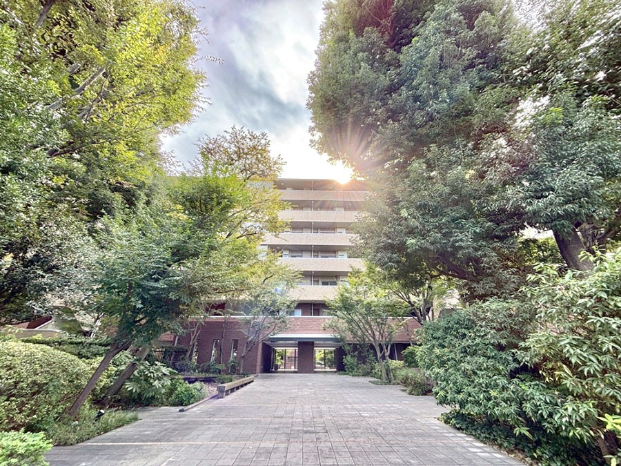 GgX O YȃGgX́AZ҂D}Ă܂  