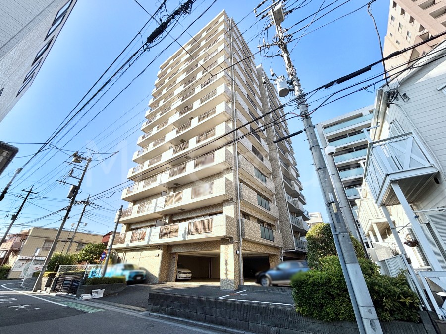 nOώʐ^ Ƃ肪Ί𐶂ސSn悢 