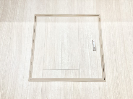 ���̑����� �������[�t���I���p�i�E���p�i�̎��[�ɂ��劈��B