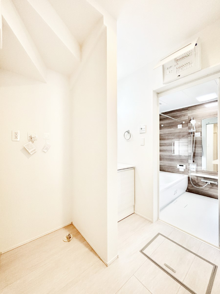 ���̑� �_�炩�Ȓ��̌����������鑋���������ʎ�