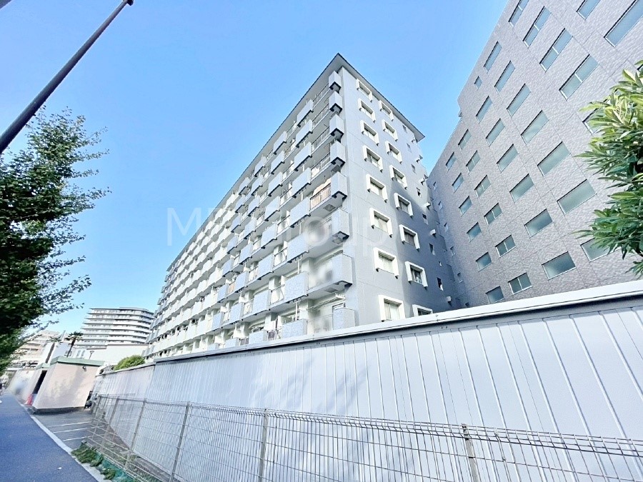 nOώʐ^ Ƃ肪Ί𐶂ސSn悢   