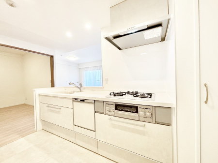 Lb` H@E򐅊ERcRȂǃfUC@\˔VXeLb`I