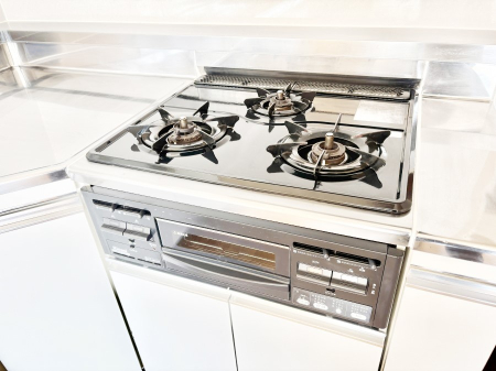 ���̑����� �O���K�X�R�����ł���������C�ɂ͂��ǂ肻��  