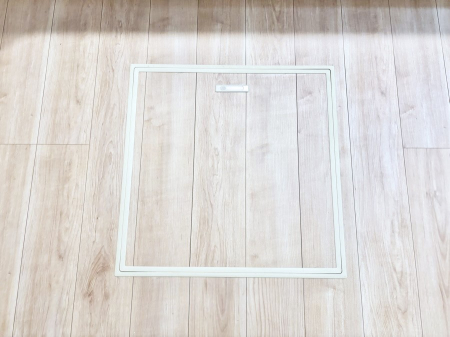 ���̑����� �������[�t���I���p�i�E���p�i�̎��[�ɂ��劈��B