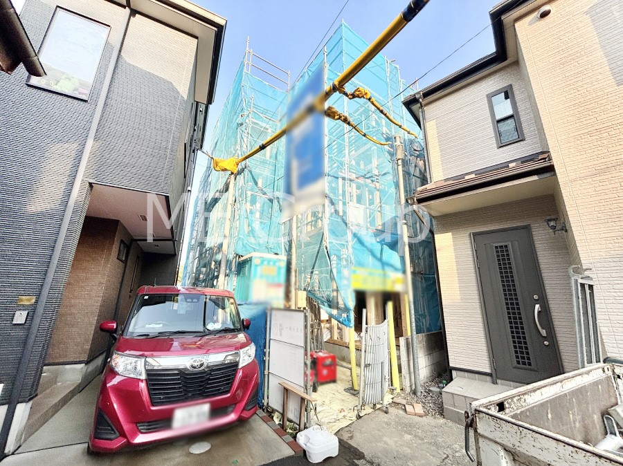 nOώʐ^ Ƃ肪Ί𐶂ސSn悢 