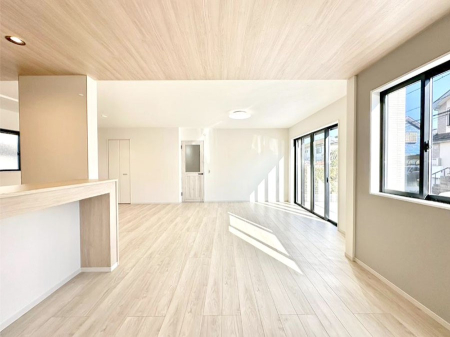 ̑ 傫ȑ炽Ղ̗zƕ郊rO  