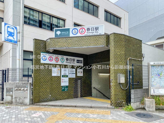 ӊ w 800m scnSutvw