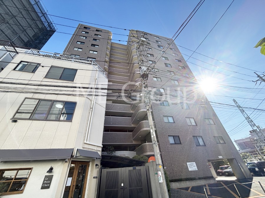 nOώʐ^ Ƃ肪Ί𐶂ސSn悢