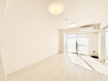 rO 傫ȑ炽Ղ̗zƕ郊rO