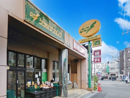 ӊ X[p[ 500m RRXiJ X