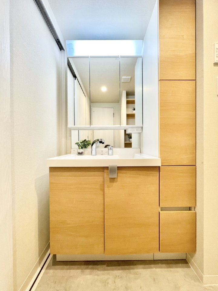 ʑEʏ 傫₷OʋŐʑ́AgȂ݃`FbN┧̂ɂ߂łB