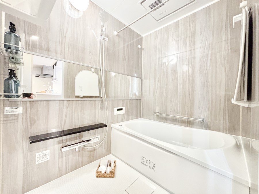 ���� �����������F�����̕ǖʁA������������芰����o�X���[��