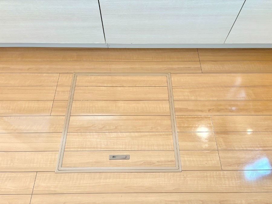 ���̑����� �������[�t���I���p�i�E���p�i�̎��[�ɂ��劈��B