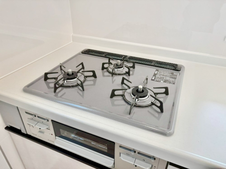 ���̑����� �O���K�X�R�����ł���������C�ɂ͂��ǂ肻��  �@