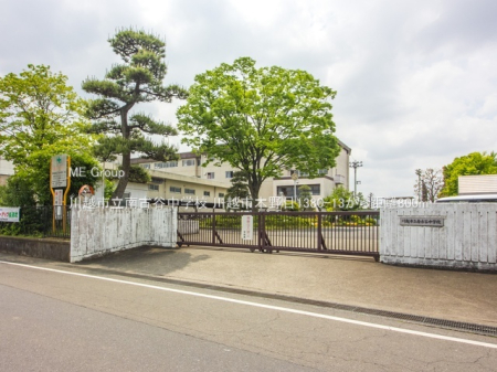 ���ӊ� ���w�Z 800m ��z�s����ÒJ���w�Z