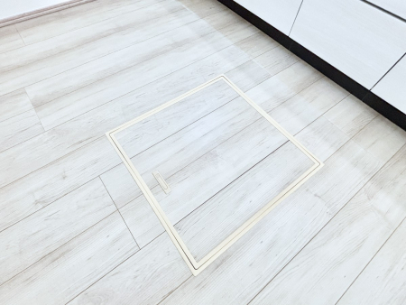 ���̑����� �������[�t���I���p�i�E���p�i�̎��[�ɂ��劈��B